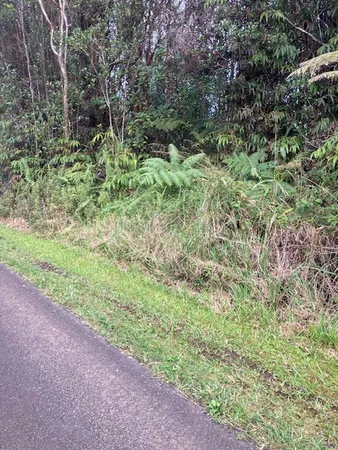 a view of a yard with a tree