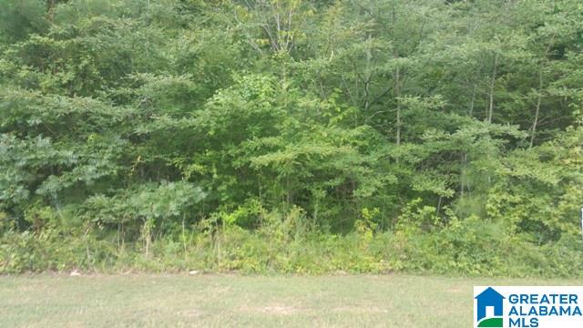 120 Hunter Ridge Lane Pell City, AL 35128 - Photo 18 of 21