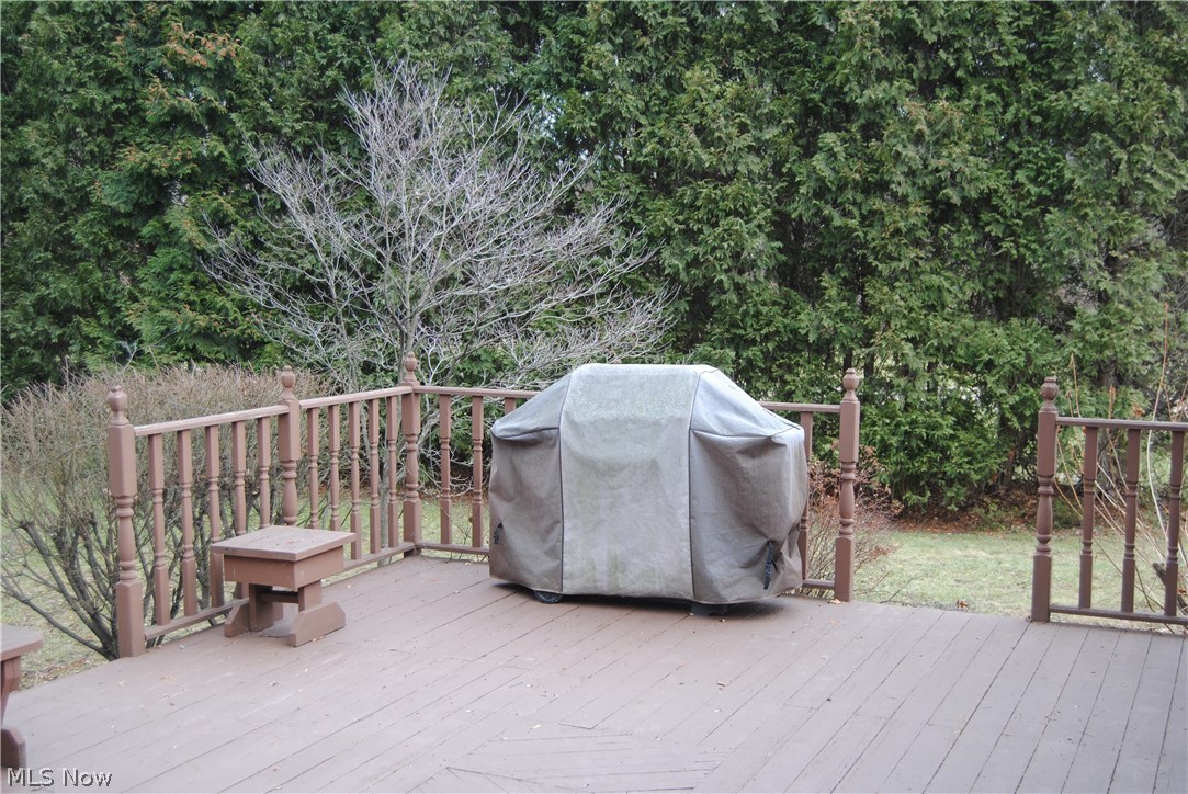 9801 Old Johnnycake Ridge Road Mentor, OH 44060 - Photo 28 of 32 Privacy abounds on the deck!