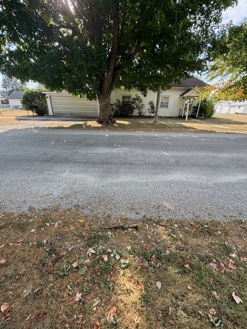 401 Adams Street Humboldt, IL 61931 - Photo 2 of 18 a view of a yard with a large tree