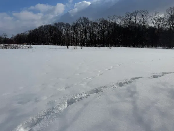 $319,900 | 10713 South 34th Street, Vicksburg, MI 49097