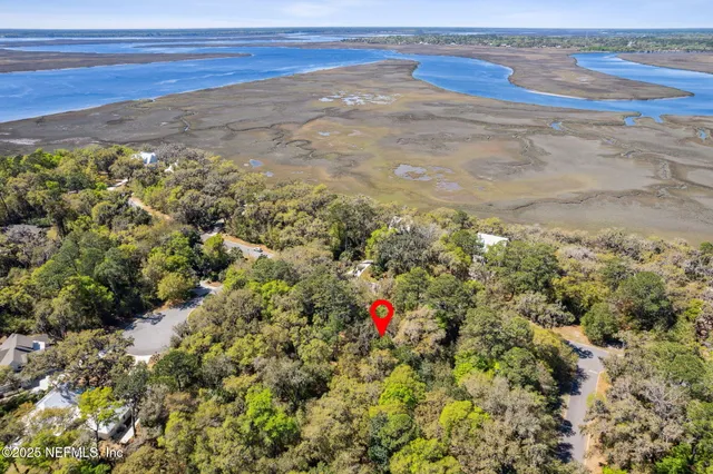a view of a yard with a tree