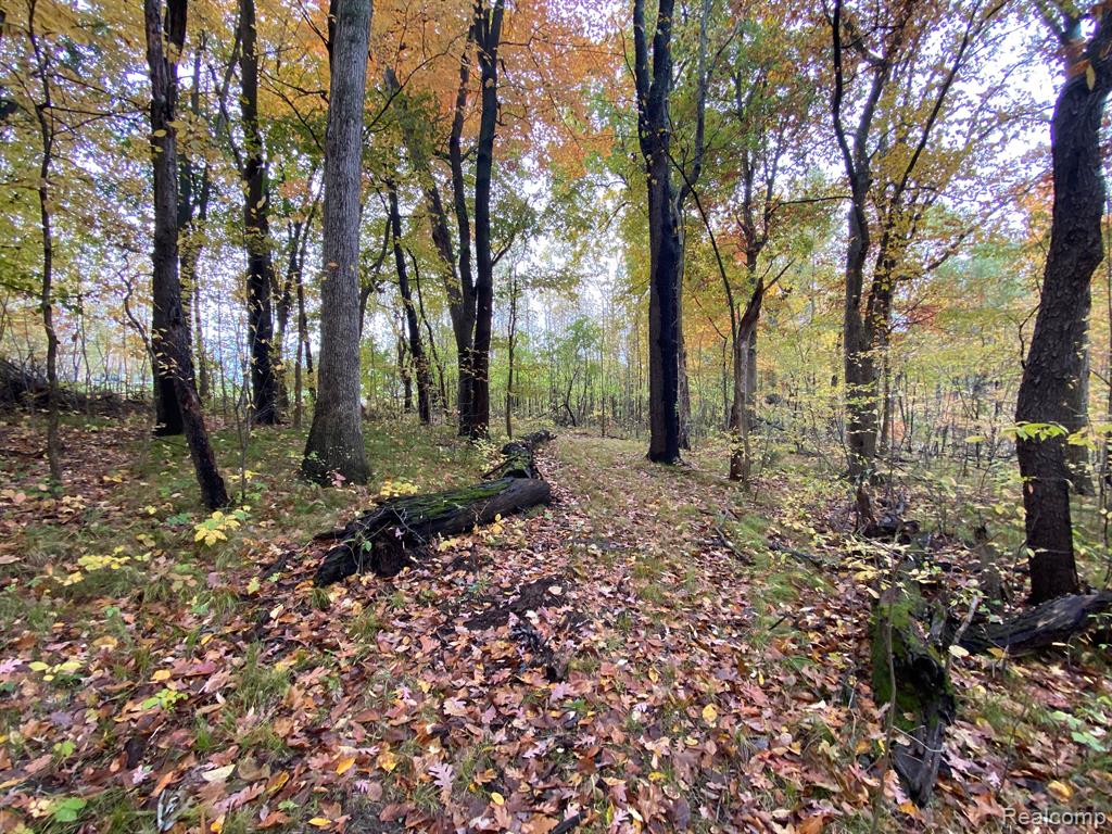 Lot 21 Deer Ridge Trail Howell, MI 48843 - Photo 10 of 17