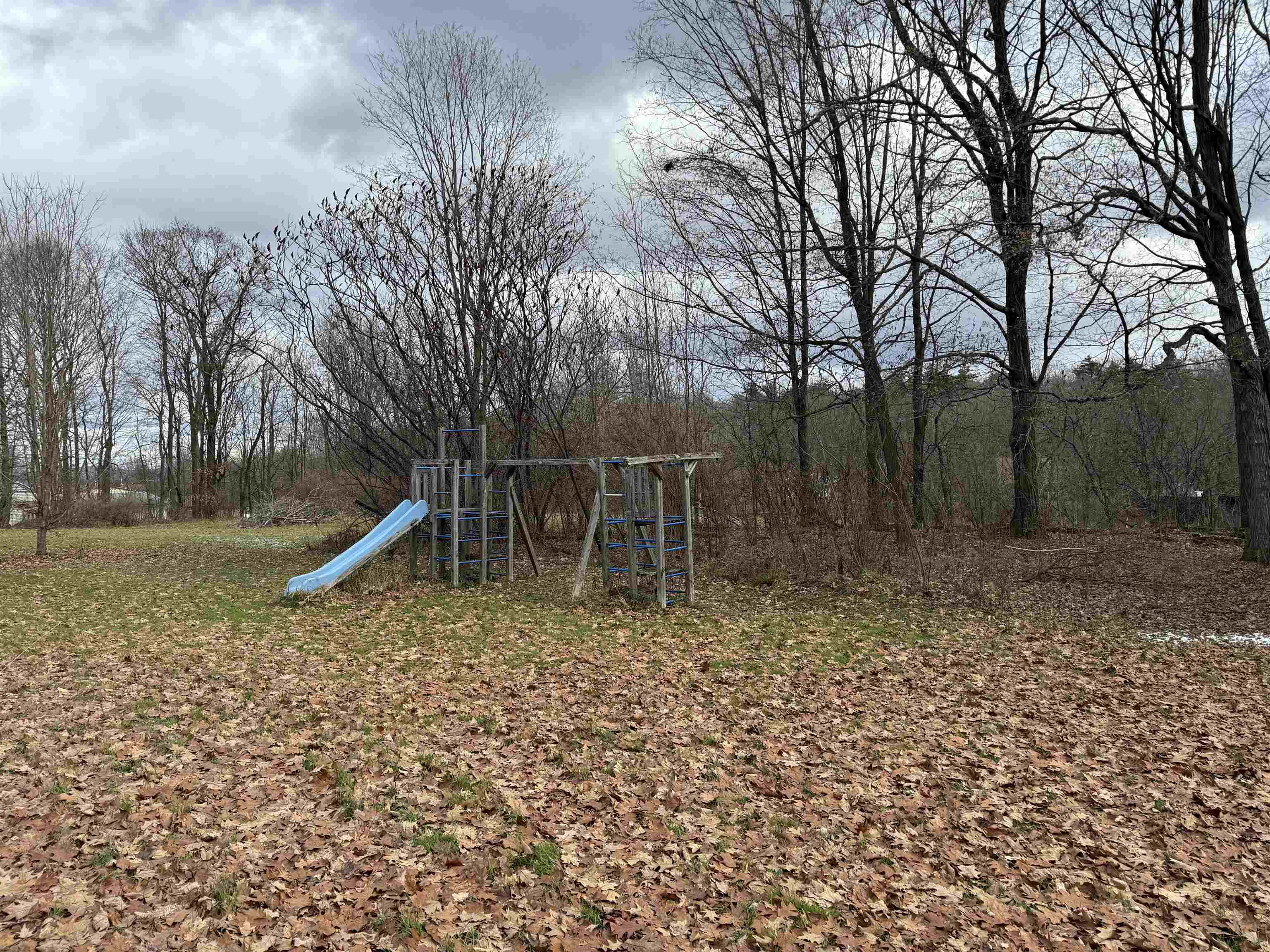 854 Cave Road Weybridge, VT 05753 - Photo 16 of 24