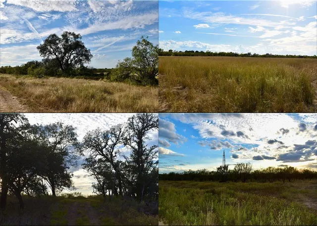 $7,634,000 | 11595 West Farm To Market 2028, Melvin, TX 76858