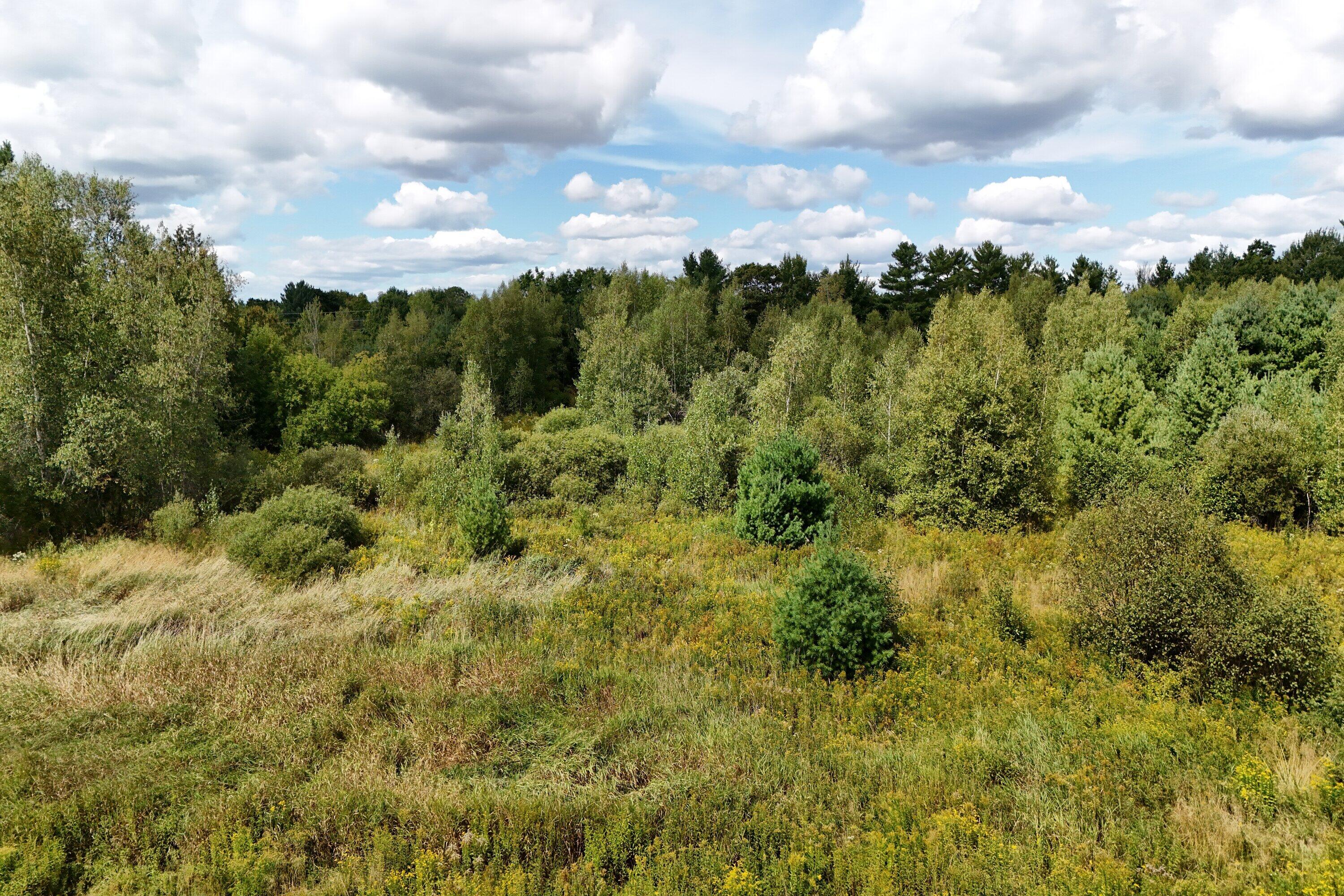 1677 Ohio Street Bangor, ME 04401 - Photo 20 of 20 DJI_20250908124451_0181_D_processed_by_i