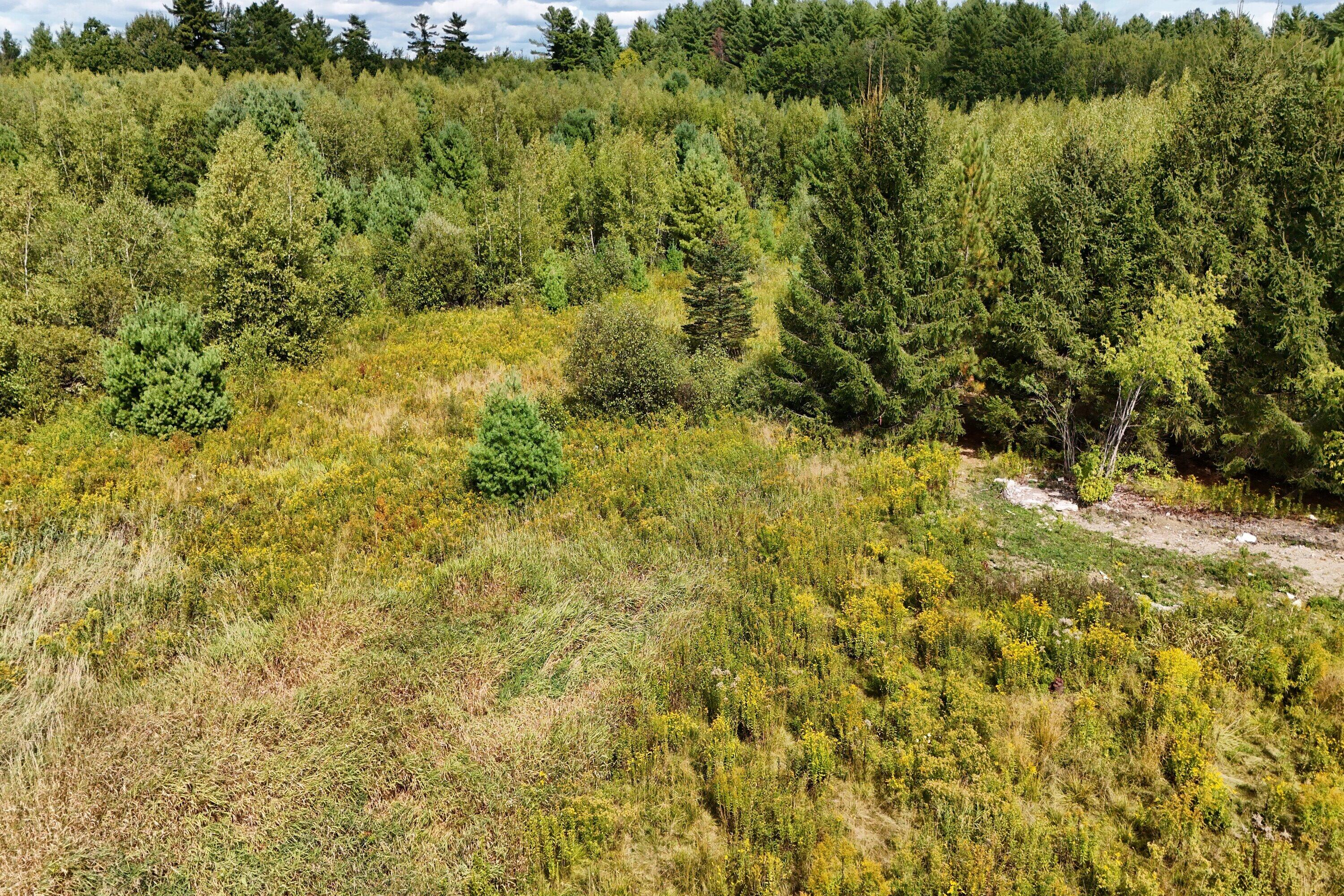 1677 Ohio Street Bangor, ME 04401 - Photo 10 of 20 DJI_20250908124439_0180_D_processed_by_i