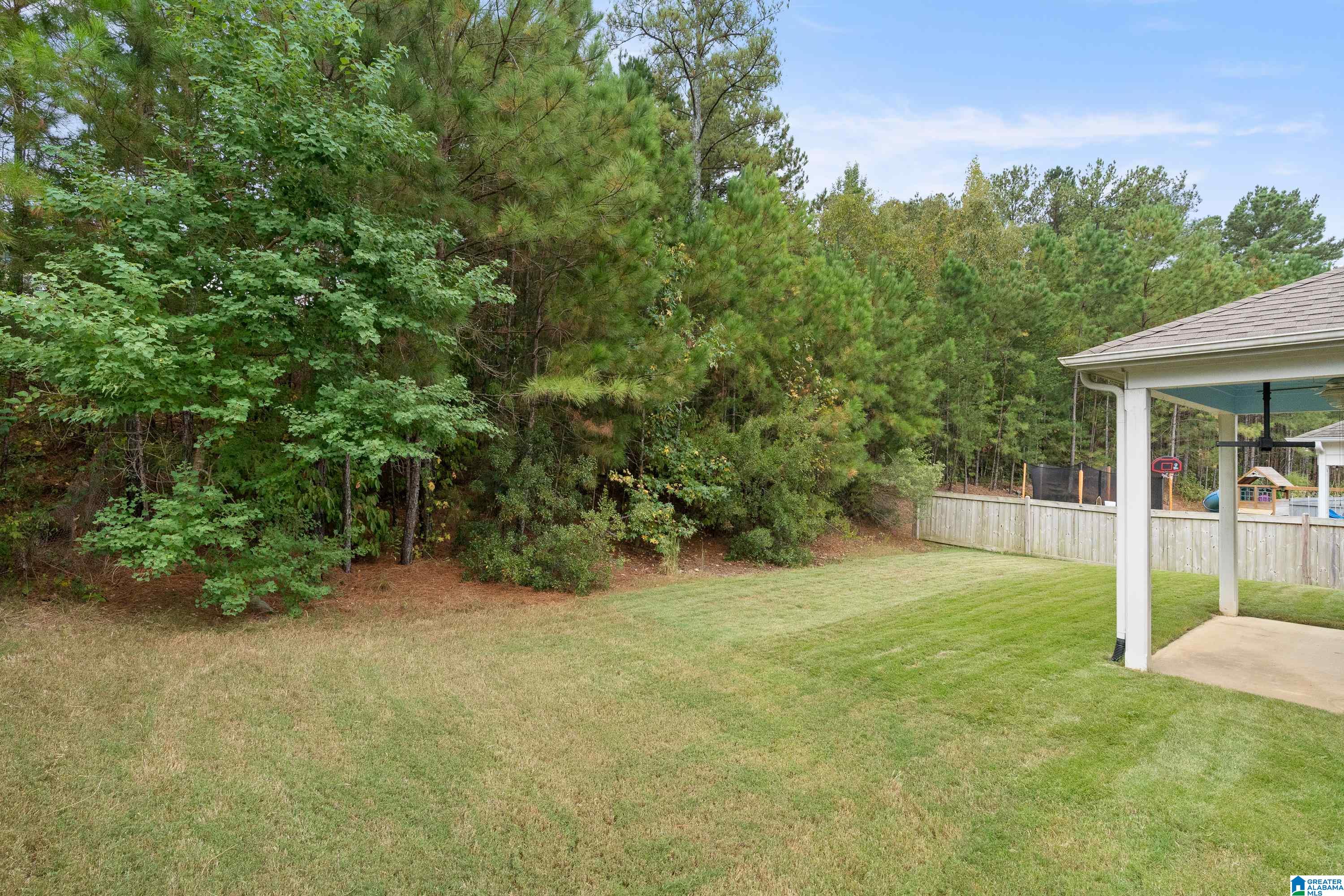 260 Rowntree Path Helena, AL 35080 - Photo 40 of 61