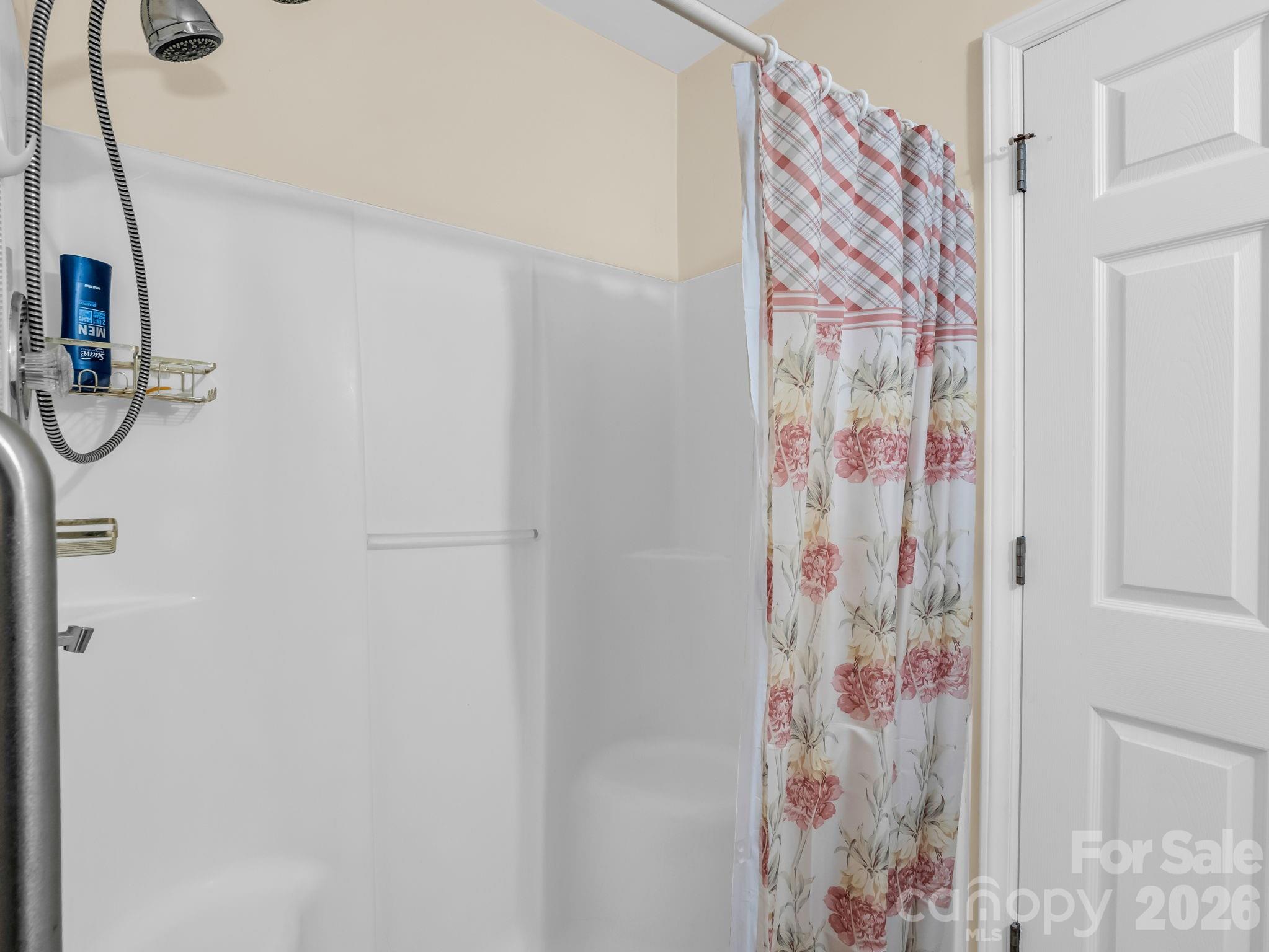 153 Rosey Lane Rutherfordton, NC 28139 - Photo 27 of 35