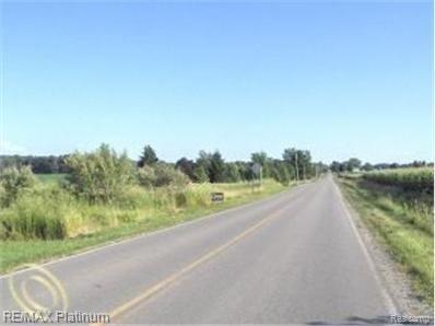 13065 South New Lothrop Road Byron, MI 48418 - Photo 3 of 5 Summer - Looking down New Lothrop Rd