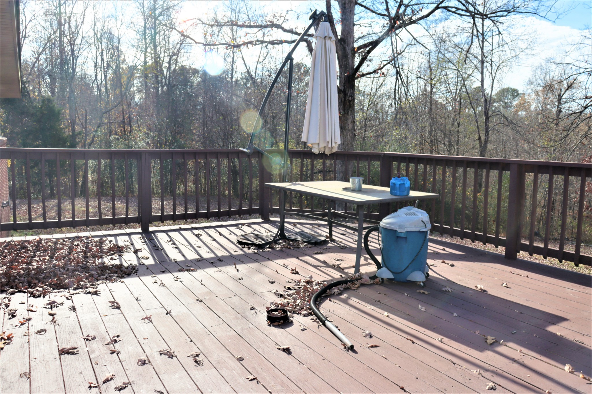 176 Pine Street Parsons, TN 38363 - Photo 22 of 32 a view of backyard with a patio and wooden floor