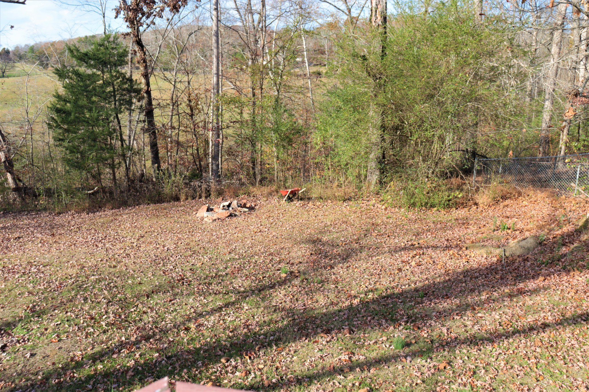 176 Pine Street Parsons, TN 38363 - Photo 25 of 32 a view of outdoor space with trees