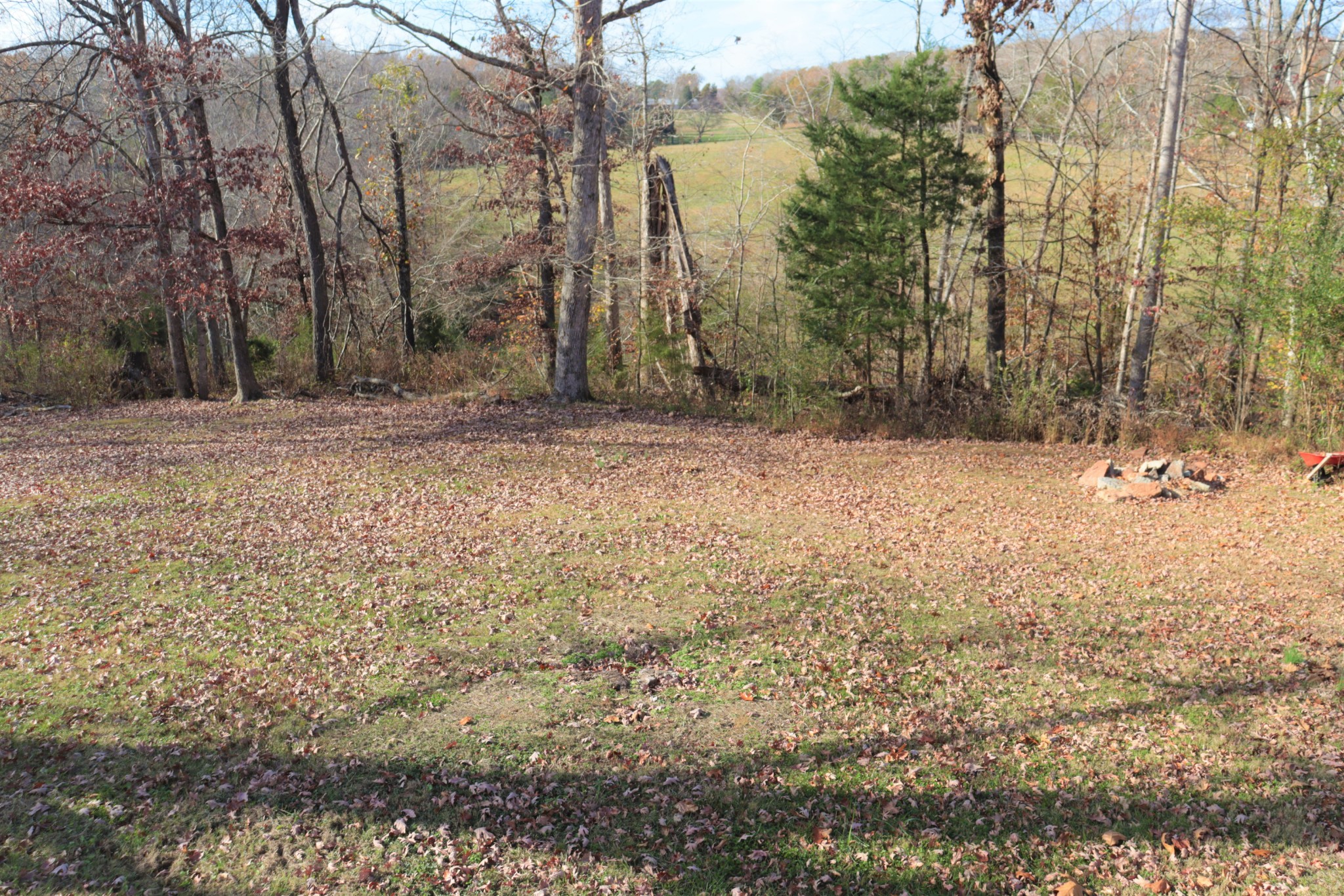 176 Pine Street Parsons, TN 38363 - Photo 26 of 32 a view of a yard with a tree