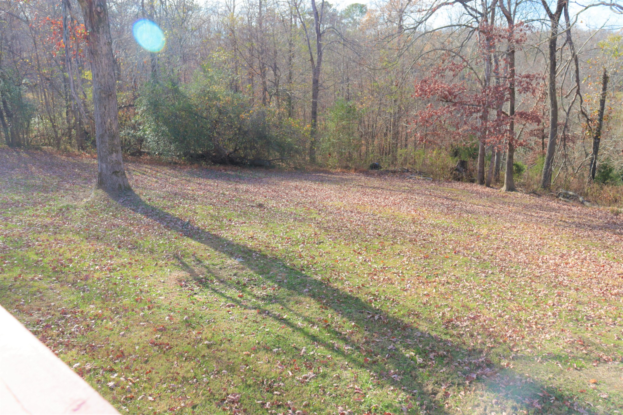 176 Pine Street Parsons, TN 38363 - Photo 27 of 32 a view of a yard with trees in the background