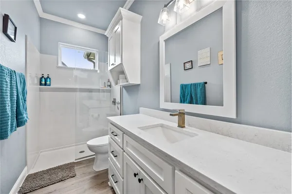a bathroom with a sink toilet a mirror and vanity