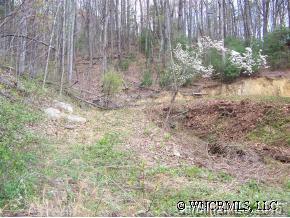 0 Hopis Branch Road Hot Springs, NC 28743 - Photo 2 of 4 Gallery Image 2