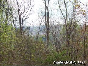 0 Hopis Branch Road Hot Springs, NC 28743 - Photo 3 of 4 Gallery Image 3
