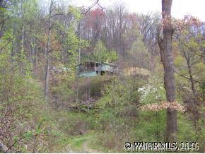 0 Hopis Branch Road Hot Springs, NC 28743 - Photo 4 of 4 Gallery Image 4