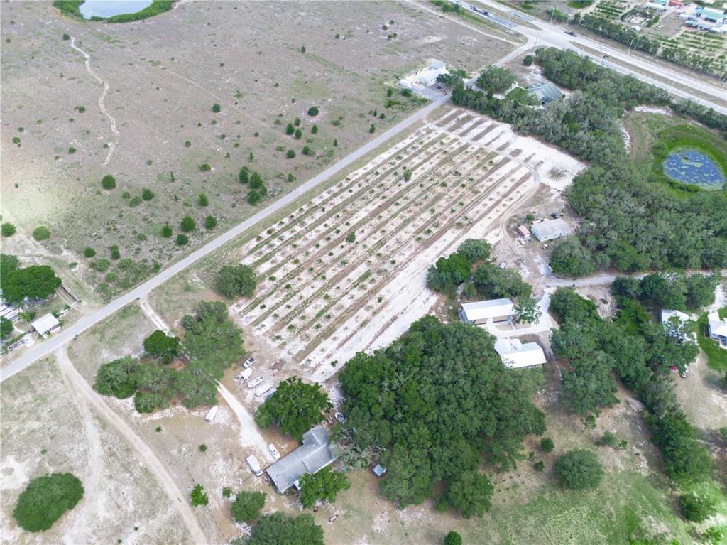 Stembridge Rd Lake Lake Wales, FL 33898 - Photo 12 of 17 a view of a backyard