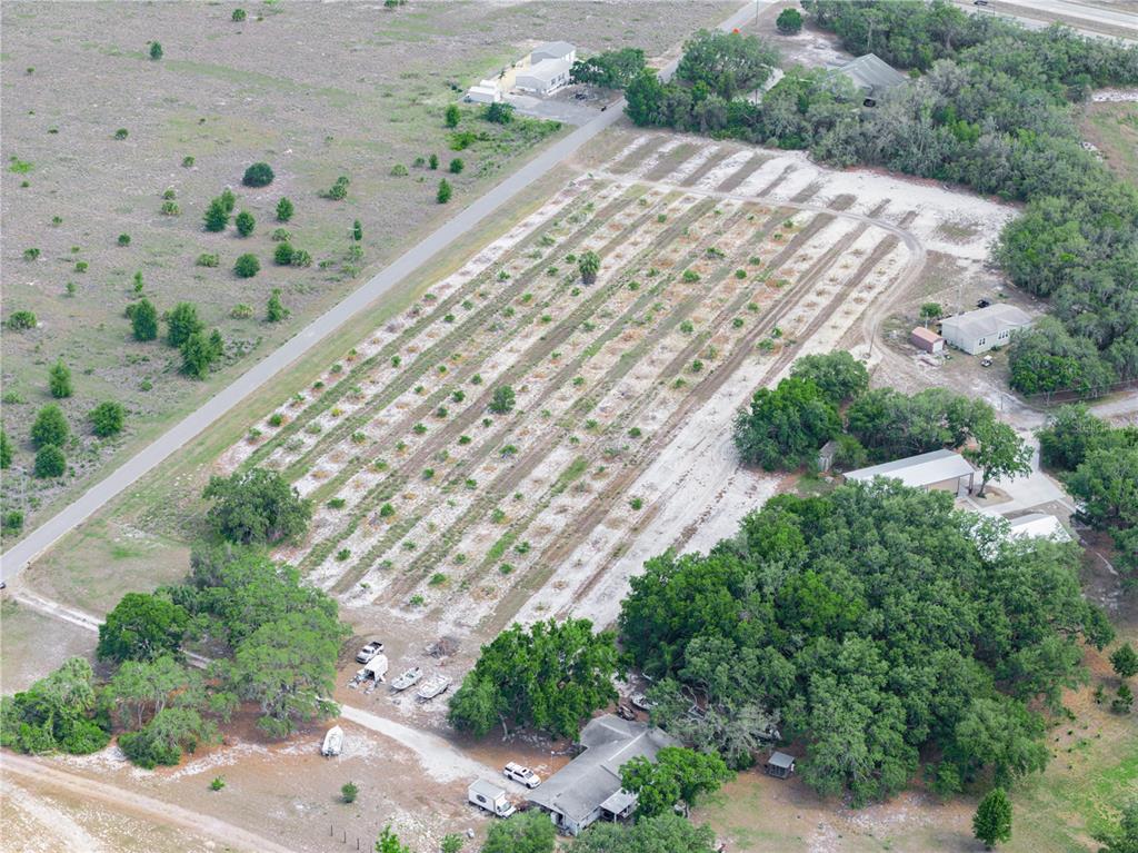 Stembridge Rd Lake Lake Wales, FL 33898 - Photo 13 of 17 a view of a yard