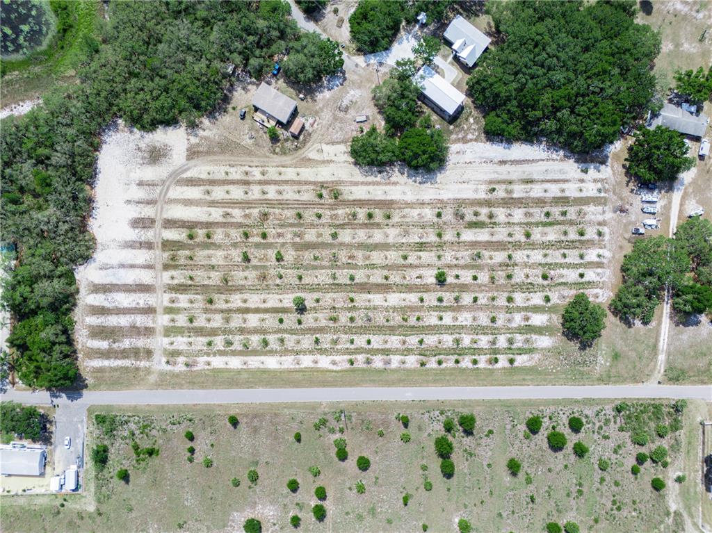 Stembridge Rd Lake Lake Wales, FL 33898 - Photo 6 of 17