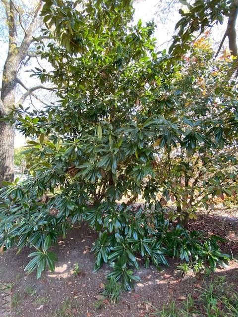 510 Breezy Banks Road Roper, NC 27970 - Photo 29 of 33
