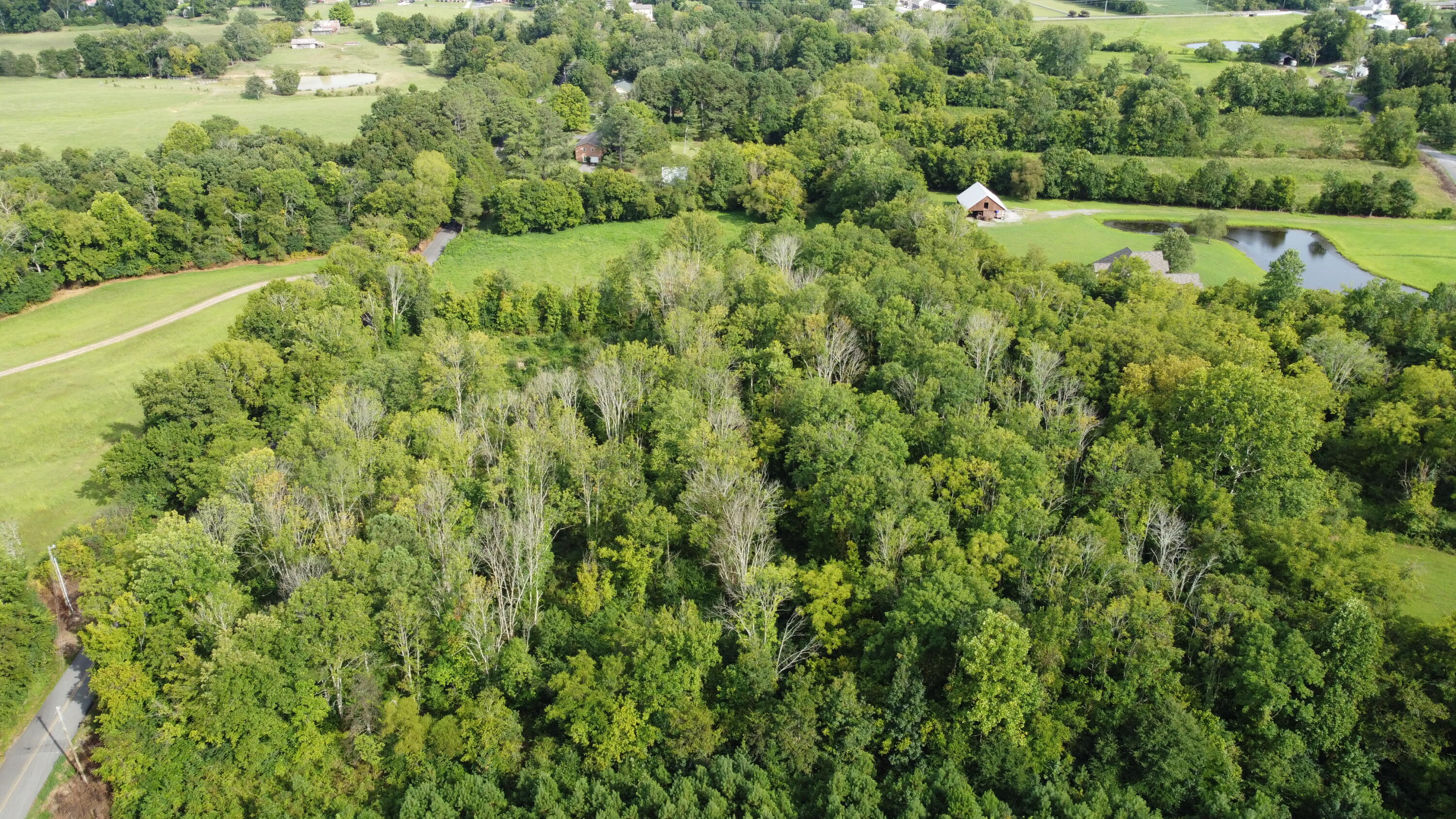 0 Northwest Elkmont Road Cleveland, TN 37312 - Photo 1 of 10 DJI-0022