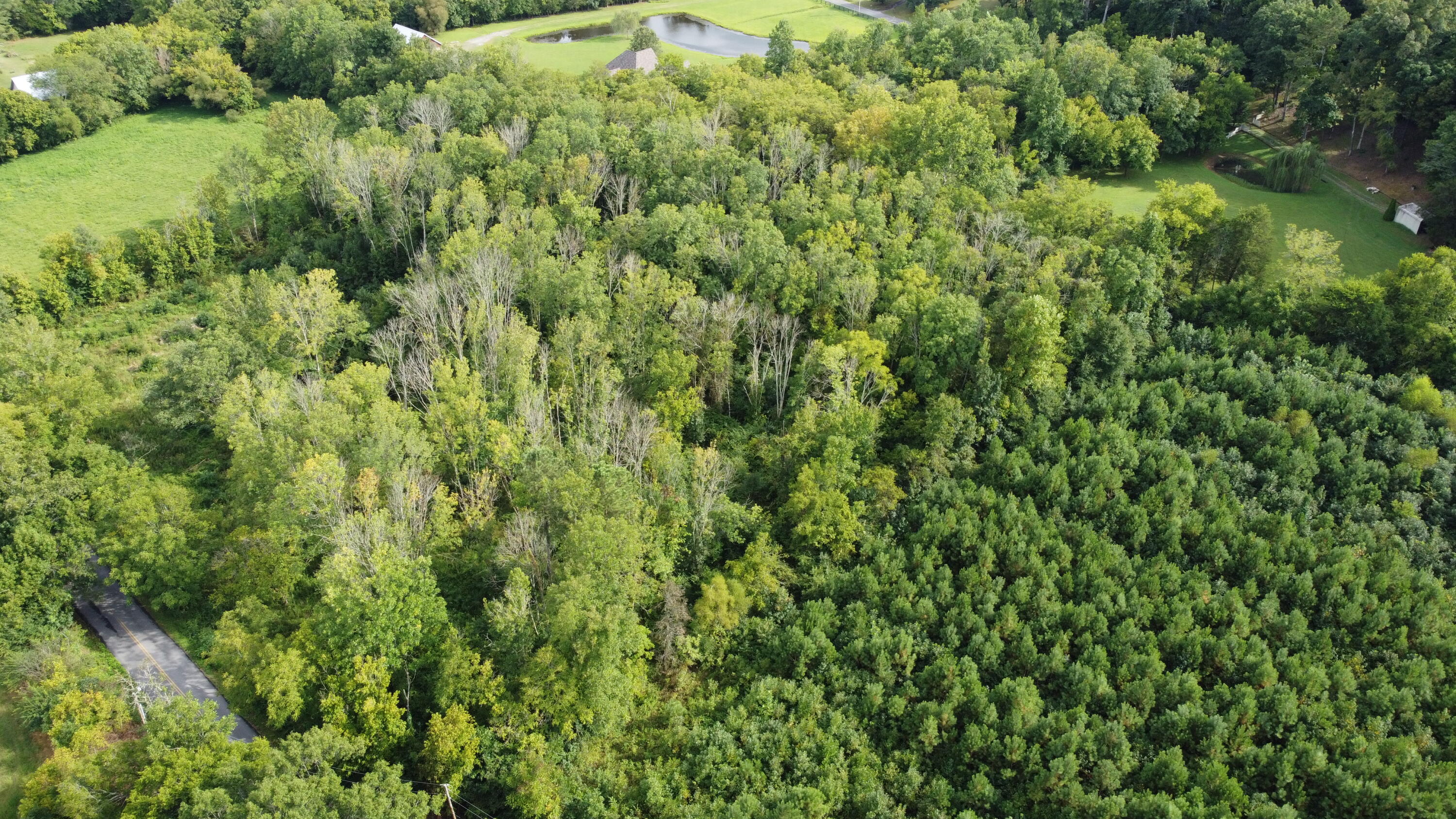 0 Northwest Elkmont Road Cleveland, TN 37312 - Photo 2 of 10 DJI-0023
