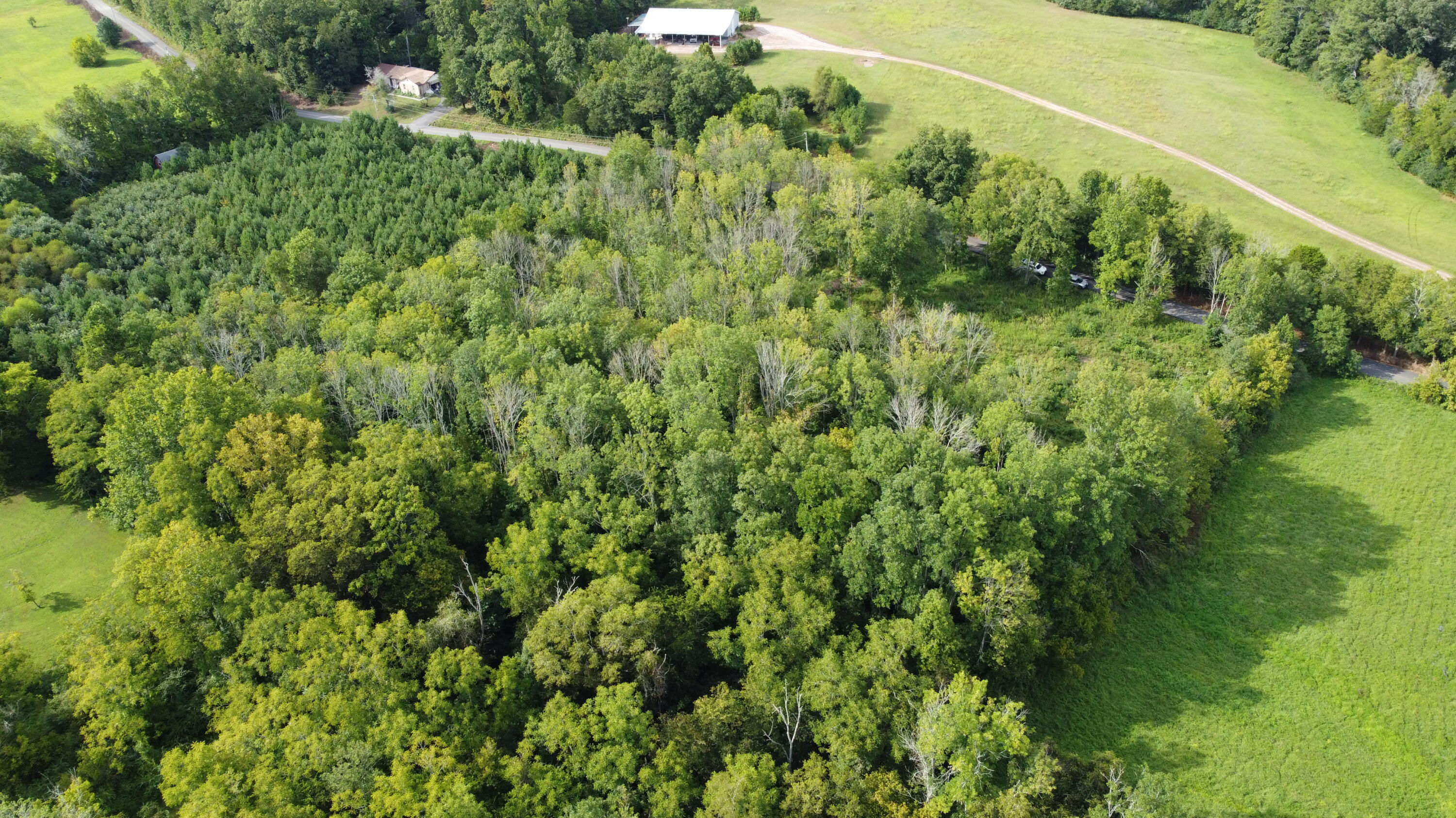 0 Northwest Elkmont Road Cleveland, TN 37312 - Photo 3 of 10 DJI-0025