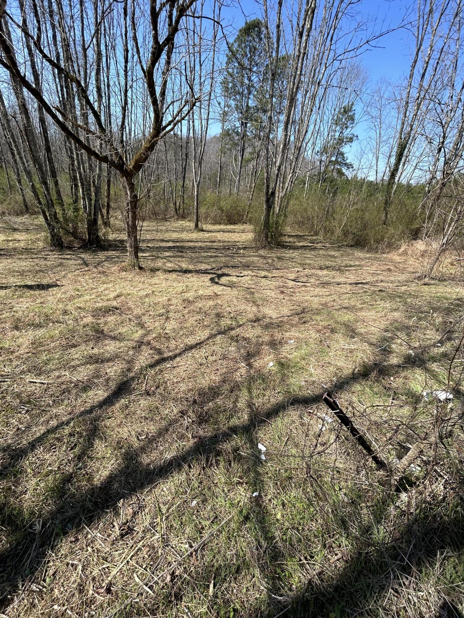 0 Northwest Elkmont Road Cleveland, TN 37312 - Photo 4 of 10 IMG_4995