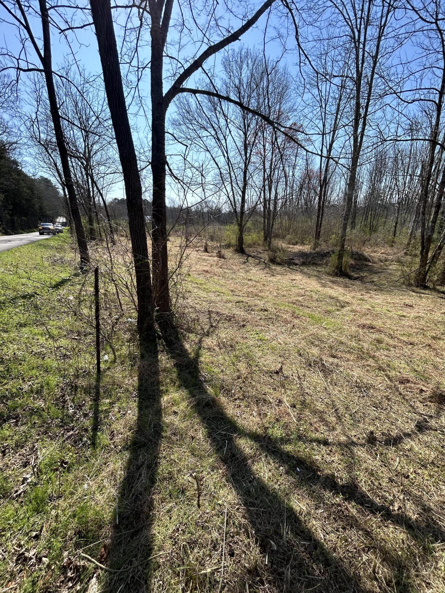 0 Northwest Elkmont Road Cleveland, TN 37312 - Photo 5 of 10 IMG_4996