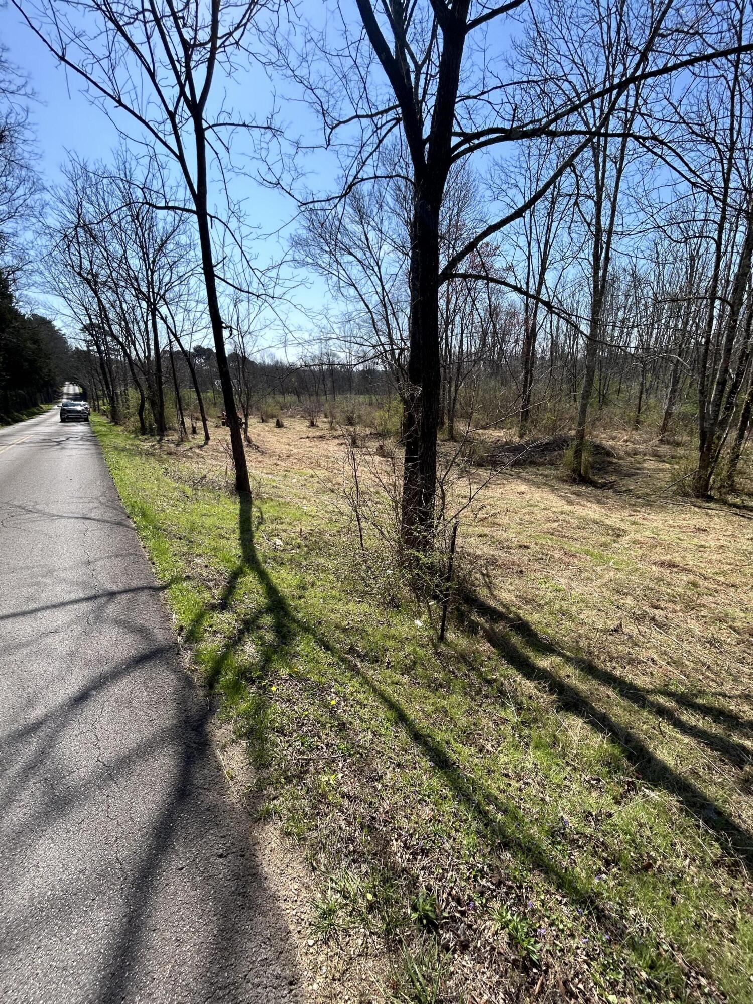 0 Northwest Elkmont Road Cleveland, TN 37312 - Photo 6 of 10 IMG_4997