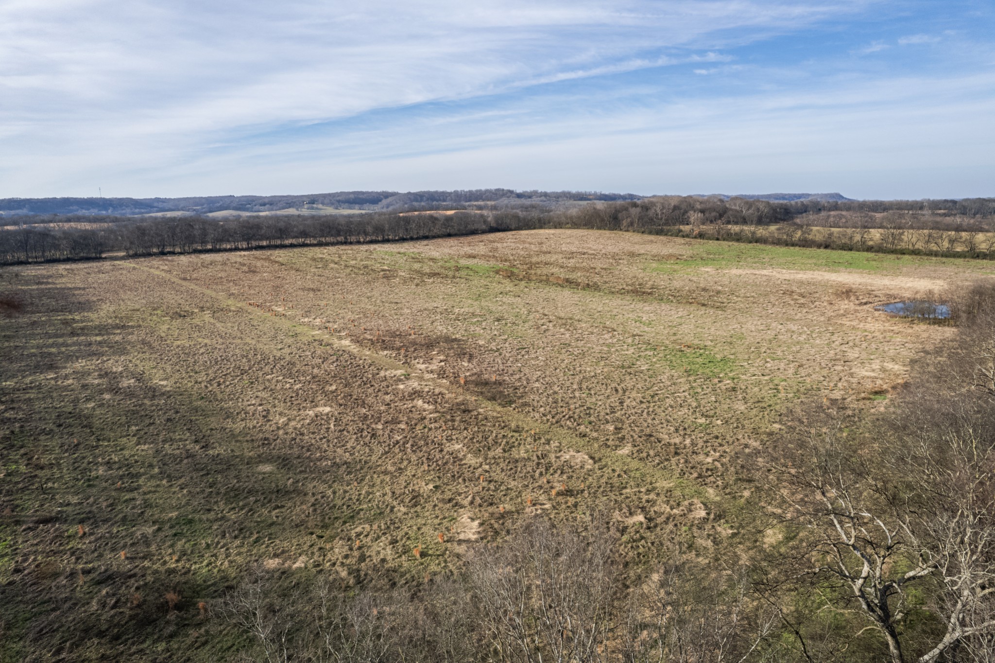 815 South Cross Bridges Road Mount Pleasant, TN 38474 - Photo 52 of 62