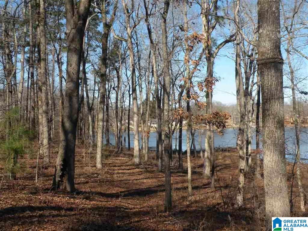 Castaway Road Sylacauga, AL 35151 - Photo 13 of 28