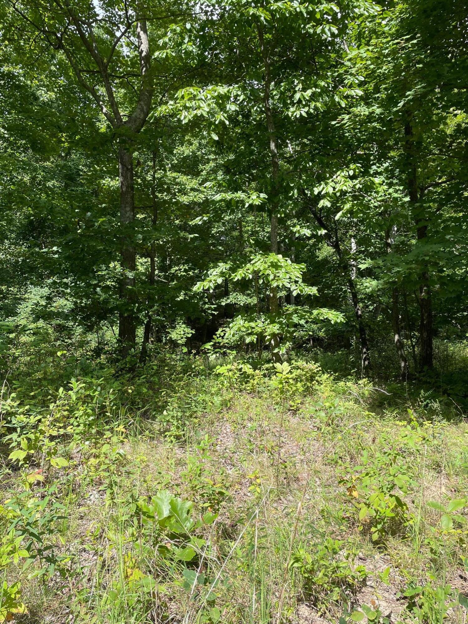 0 Roaring Creek Road, Unit 296 Dunlap, TN 37327 - Photo 2 of 11 20231116212112658056000000-o
