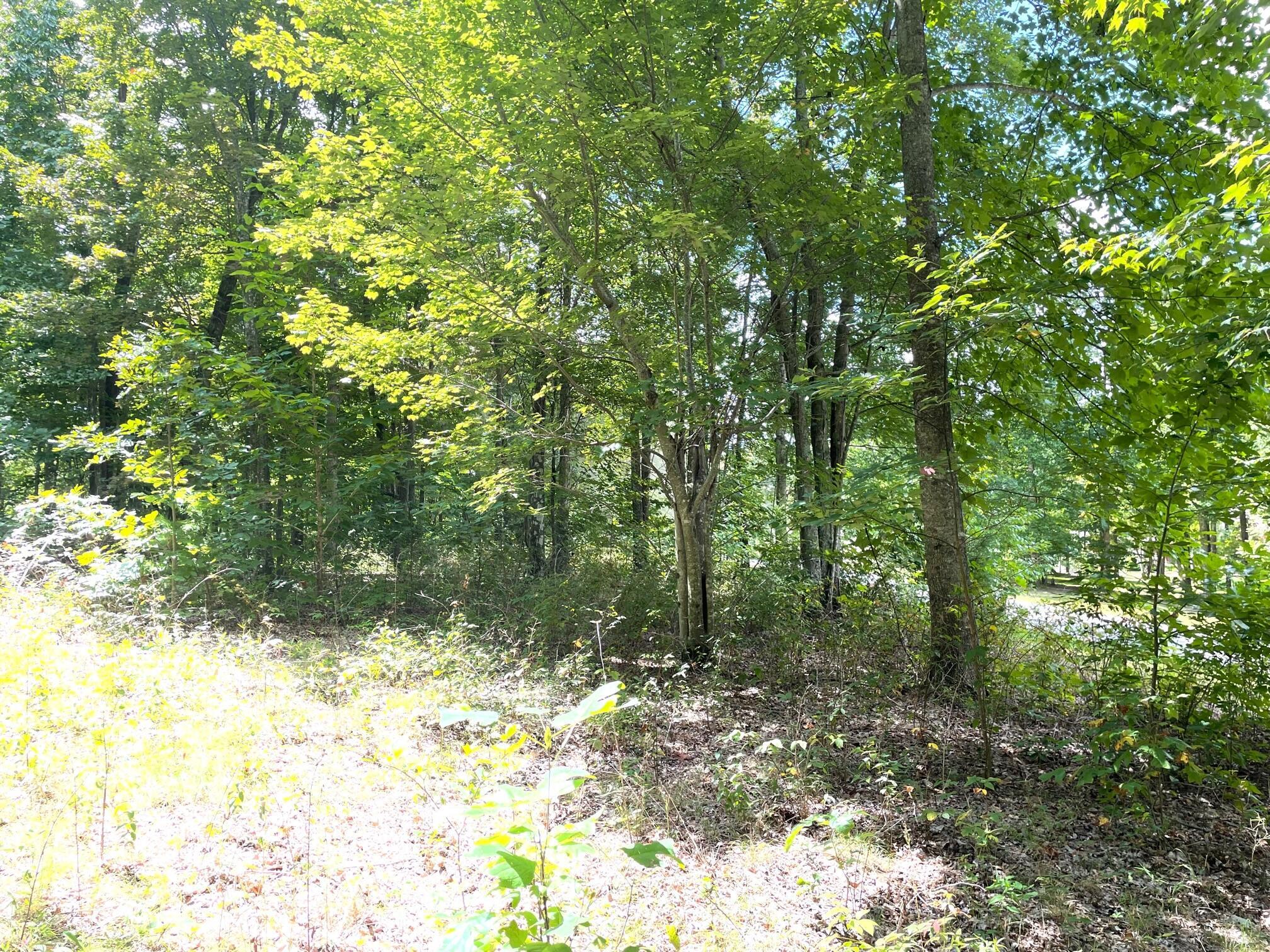 0 Roaring Creek Road, Unit 296 Dunlap, TN 37327 - Photo 5 of 7 20231116212109946497000000-o