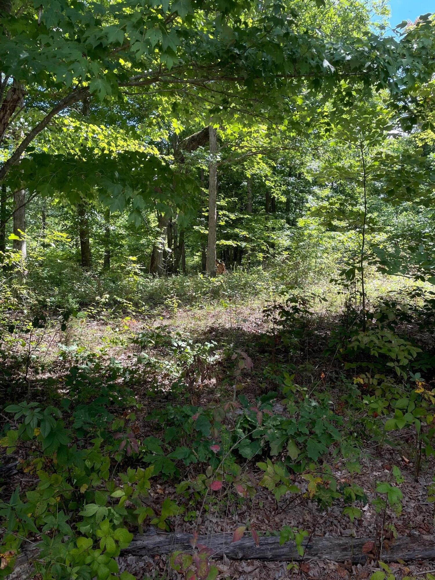 0 Roaring Creek Road, Unit 296 Dunlap, TN 37327 - Photo 7 of 11 20231116212109187562000000-o