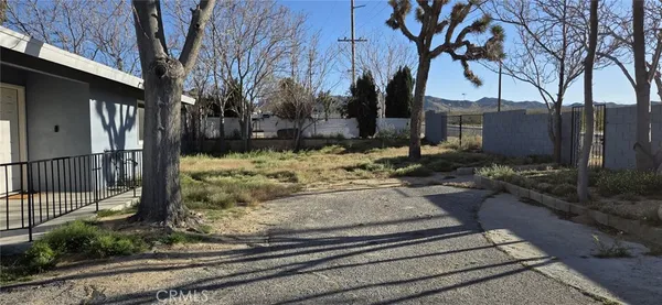 a view of a yard and tree