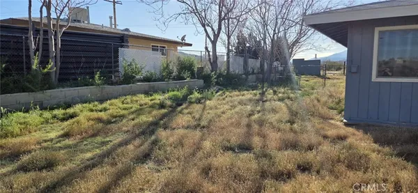 a view of a yard with plants and large tree