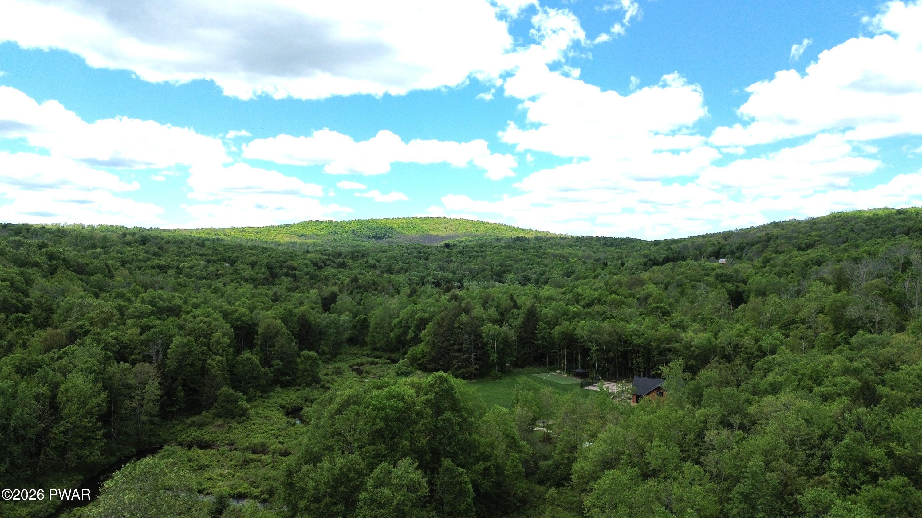 94 Swamp Road Pleasant Mount, PA 18453 - Photo 31 of 33 a view of a green field with lots of bushes