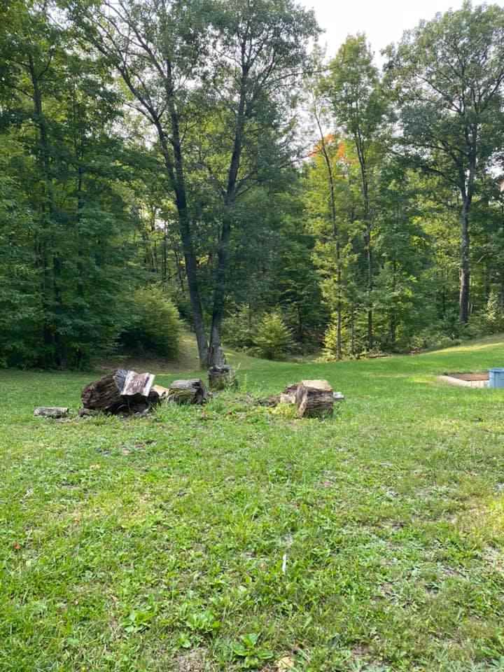 3355 Lund Road Southwest Fife Lake, MI 49633 - Photo 42 of 48 1880084-44.JPG