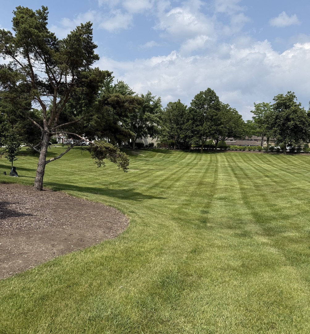 7413 Stockley Road Downers Grove, IL 60516 - Photo 3 of 3 Gallery Image 3