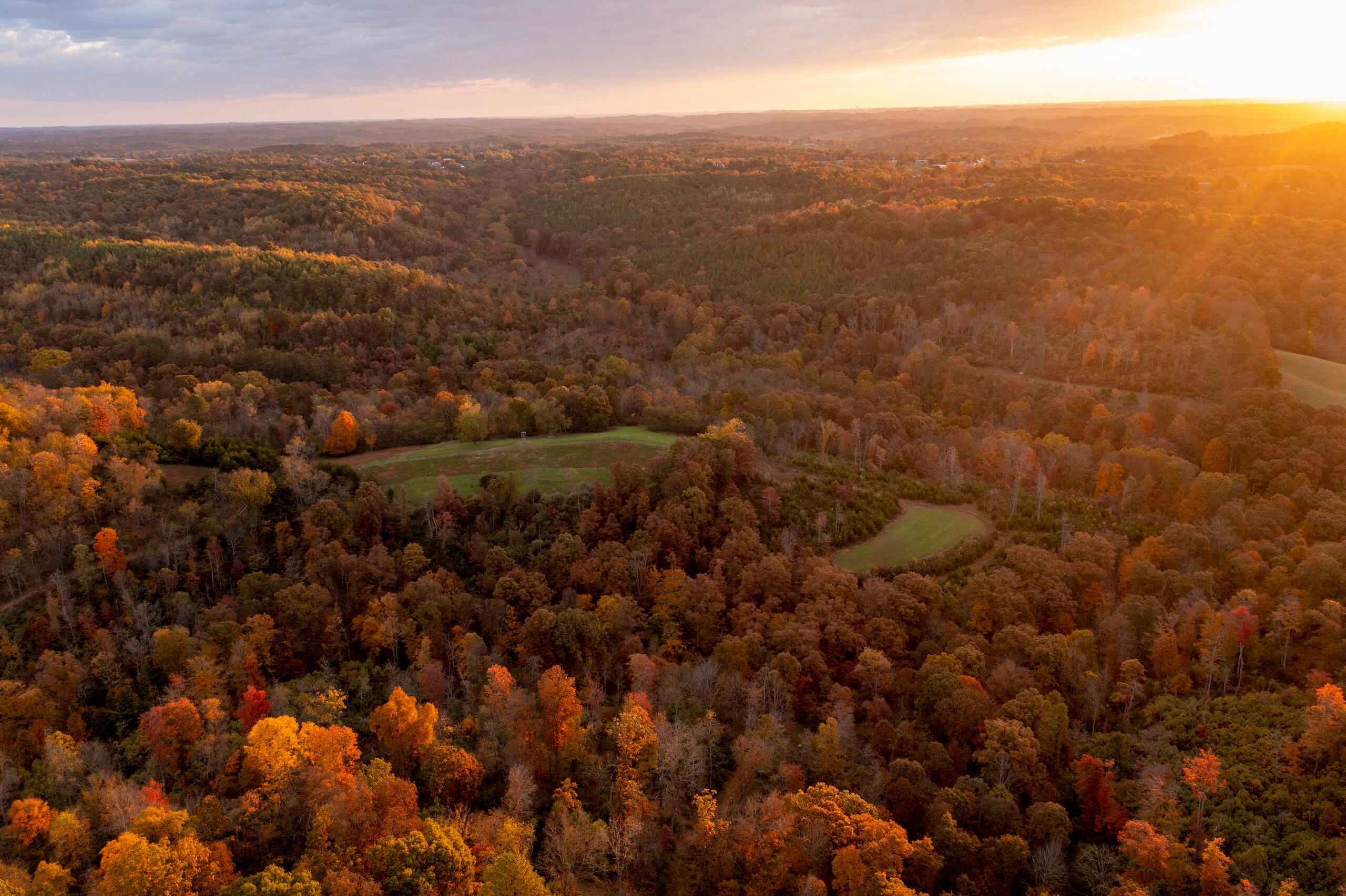 1426 Sealy Ridge Road Vincent, OH 45784 - Photo 9 of 52 DJI_0743-21