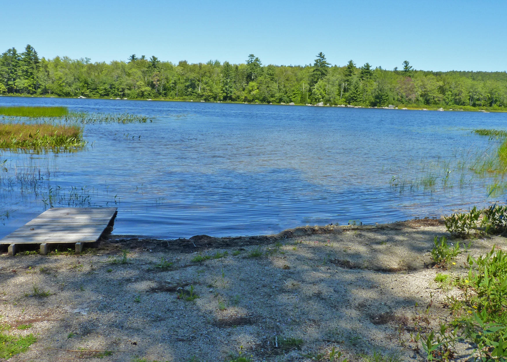 30 Loon Call Lane Surry, ME 04684 - Photo 1 of 23 1a