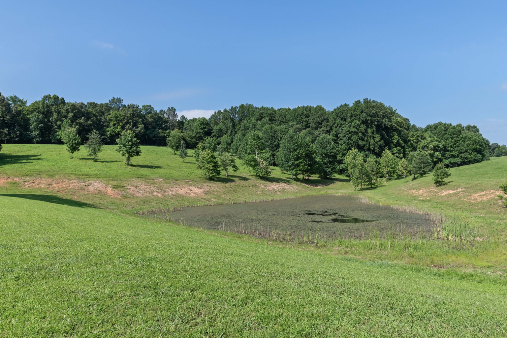 1025 Choate Road Dickson, TN 37055 - Photo 72 of 100