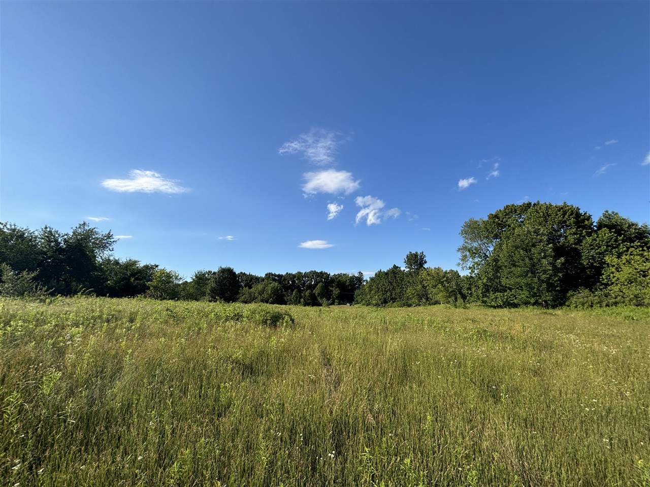 38.14 Northeast A Ne Hayes Road Comstock Park, MI 49321 - Photo 8 of 38