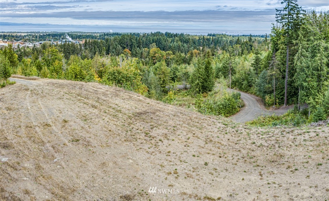 9999 Mcclure View Rd Port Port Angeles, WA 98363 - Photo 14 of 31 Gallery Image 14