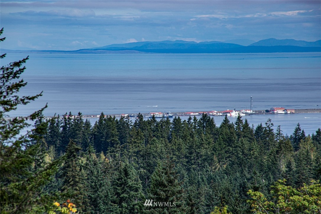 9999 Mcclure View Rd Port Port Angeles, WA 98363 - Photo 30 of 31 Gallery Image 30