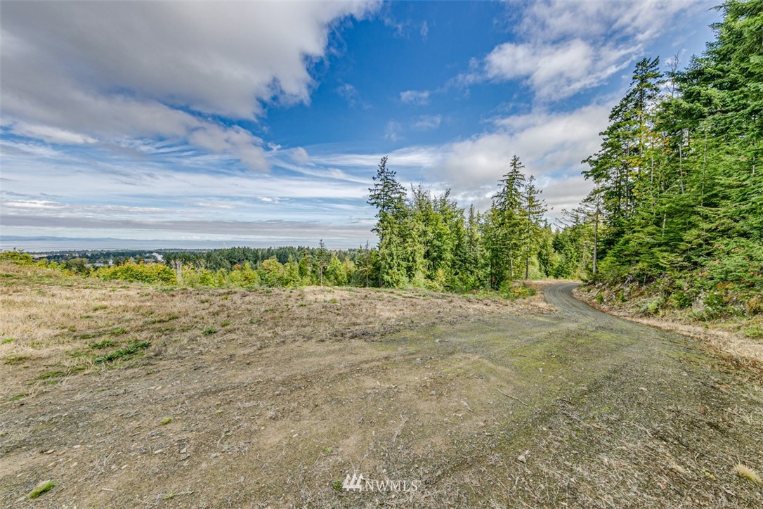 9999 Mcclure View Rd Port Port Angeles, WA 98363 - Photo 5 of 31 Gallery Image 5