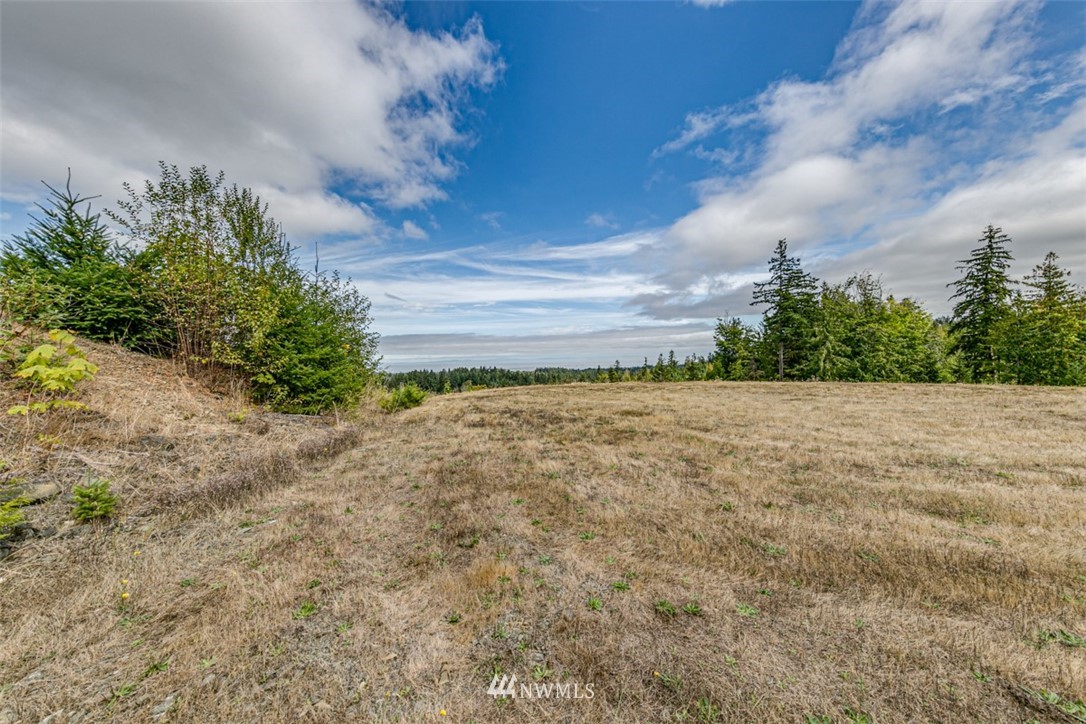 9999 Mcclure View Rd Port Port Angeles, WA 98363 - Photo 8 of 31 Gallery Image 8